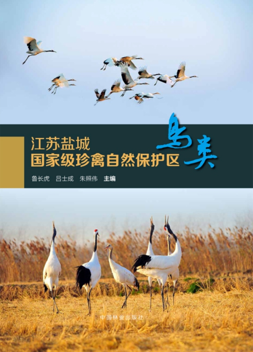 江苏盐城国家级珍禽自然保护区——鸟类