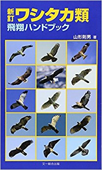 ワシタカ類飛翔ハンドブック