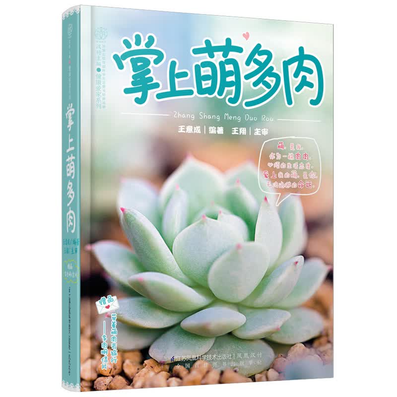 掌上萌多肉