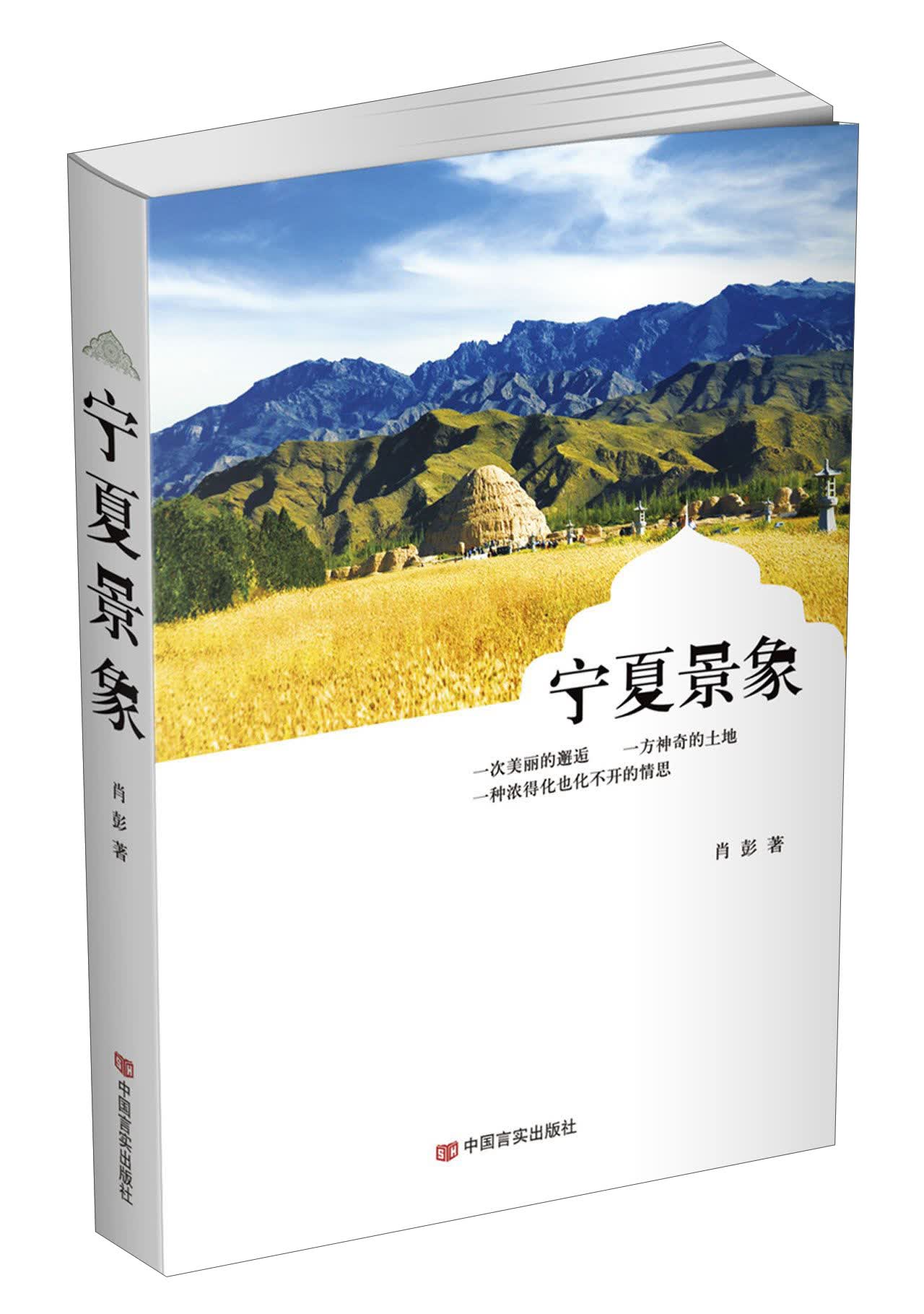 宁夏景象