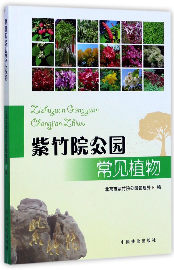 紫竹院公园常见植物