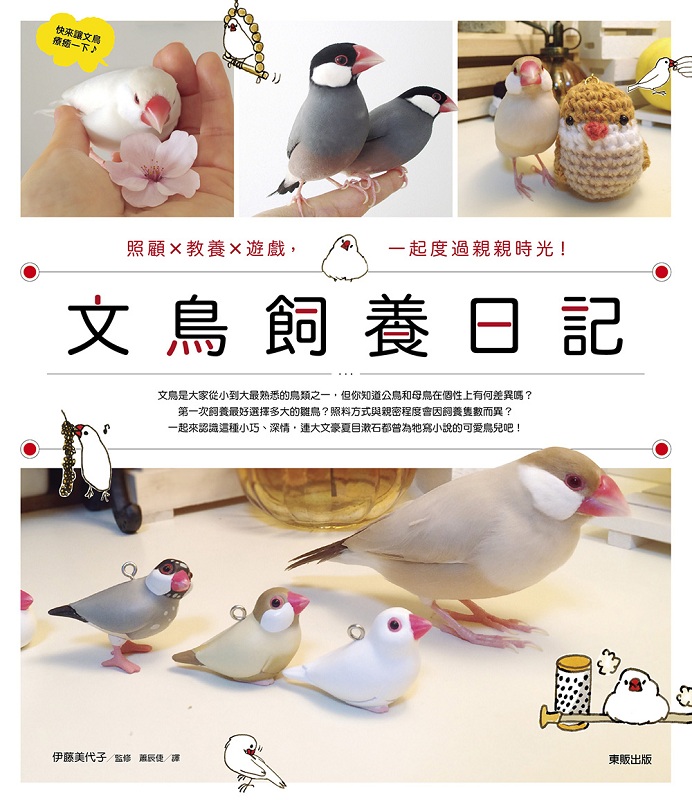 文鸟饲养日记 照顾x教养x游戏，一起度过时光 港台原版 伊藤美代子 台湾东贩 宠物
