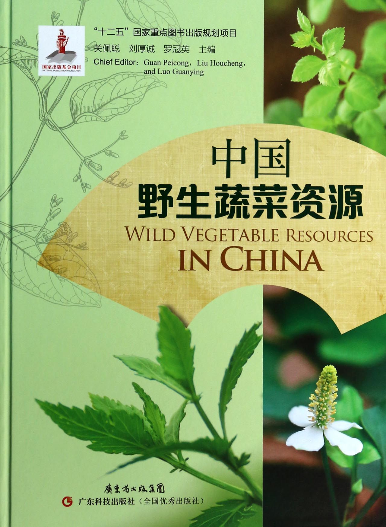 中国野生蔬菜资源(精)