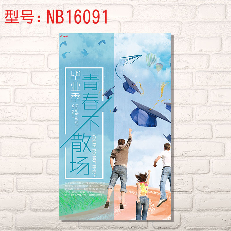 毕业季致青春海报装饰画礼物礼品挂画 文艺小清新毕业墙壁装饰画芯 nb