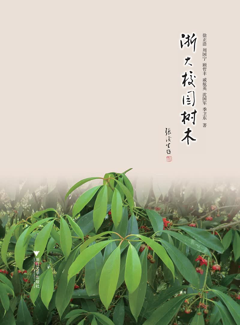浙大校园树木