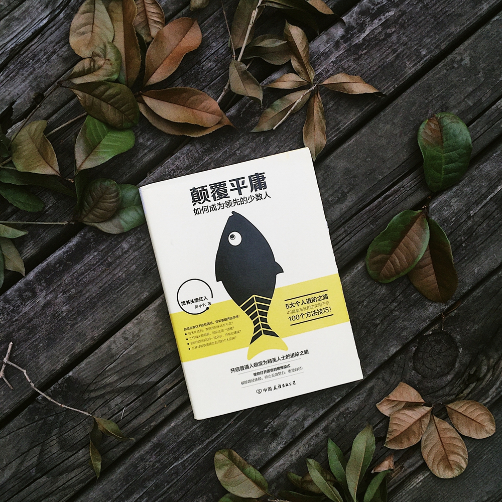 颠覆平庸：如何成为领先的少数人详情图