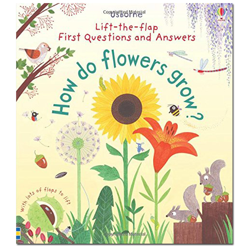 【预售】lift-the-flap 翻翻书 儿童问答书 usborne  原版英文绘本