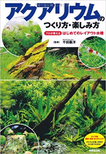 アクアリウムのつくり方?楽しみ方 プロが