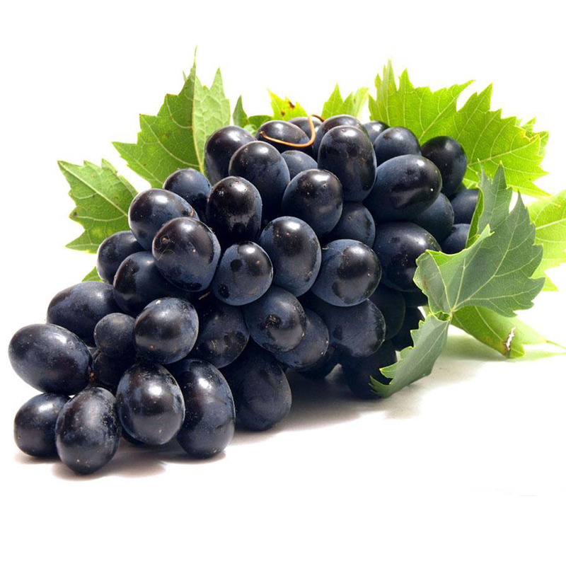 新鲜无籽黑提子