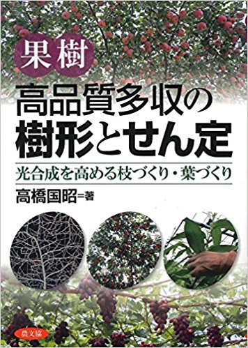 果樹高品質多収の樹形とせん定 光合成を高