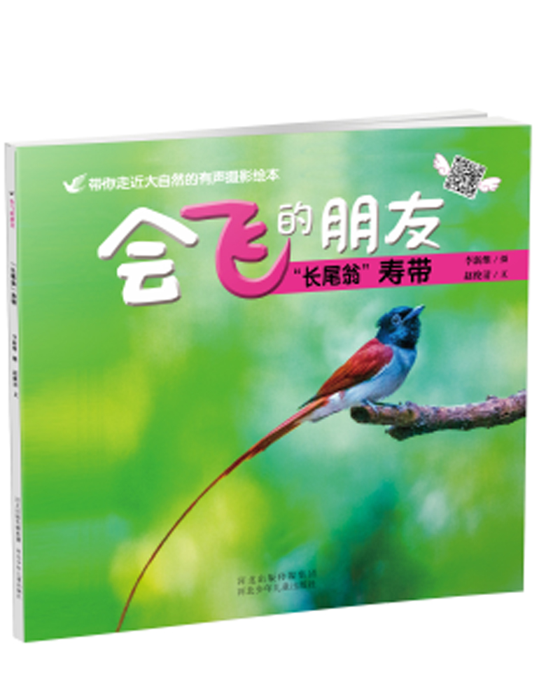 会飞的朋友：“长尾翁”寿带 