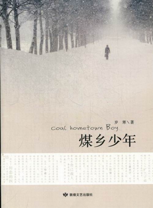 煤乡少年