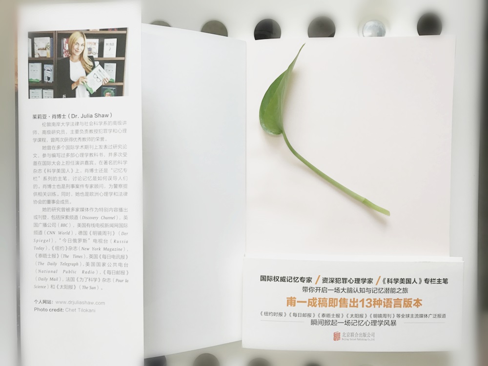 记忆错觉:记忆如何影响了我们的感知、思维与心理详情图