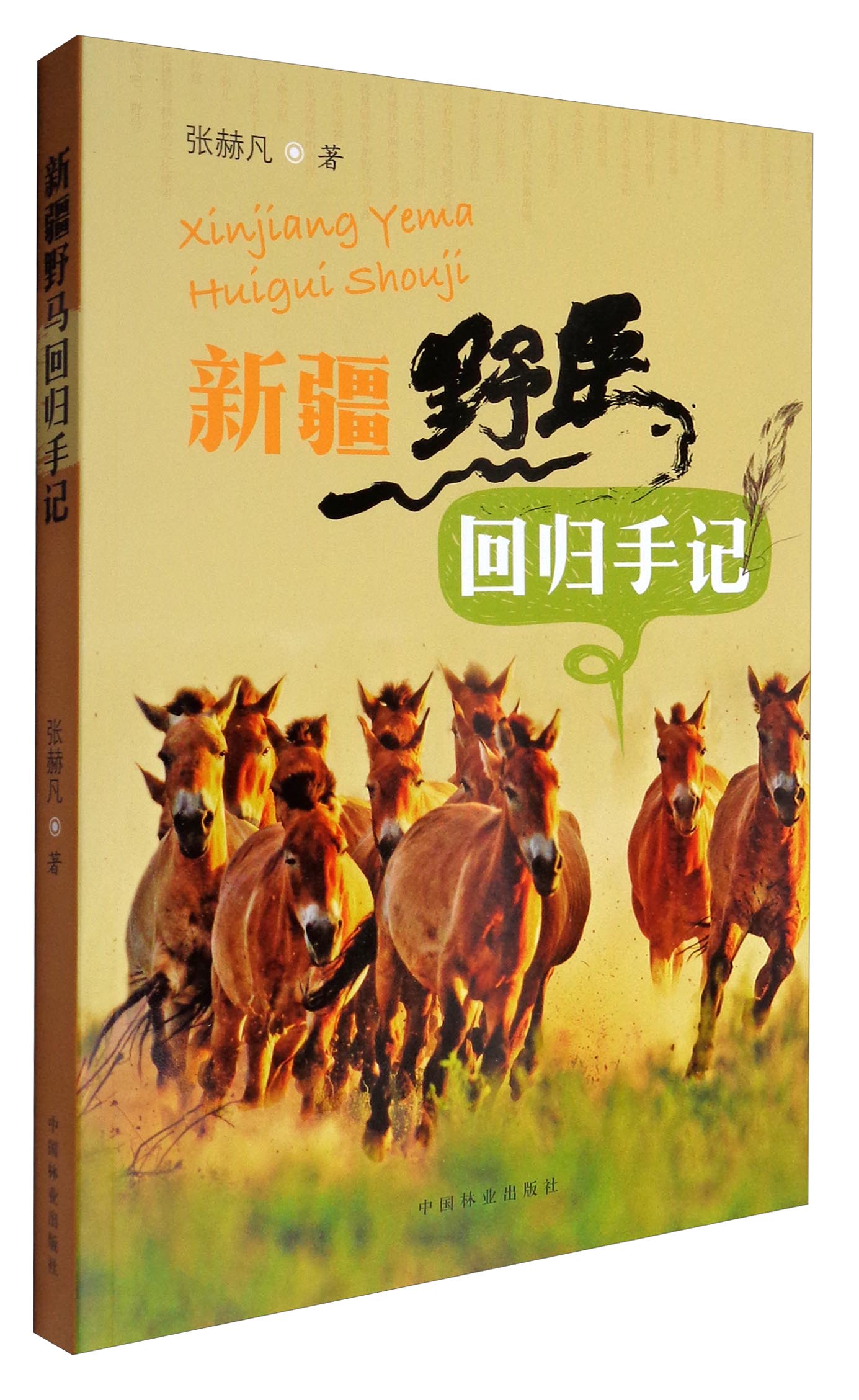 新疆野马回归手记