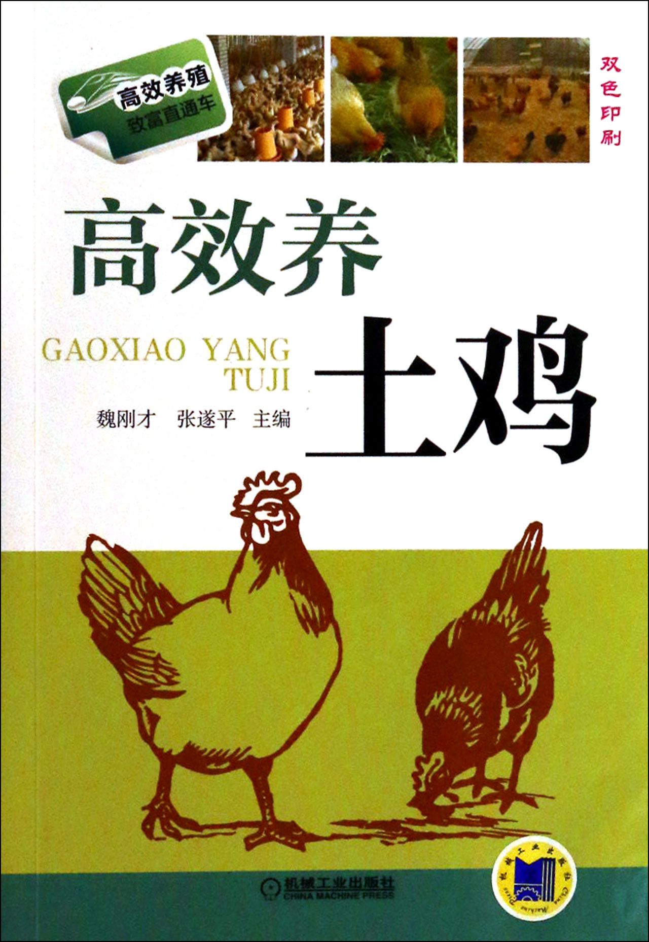 高效养土鸡(双色印刷)/高效养殖致富直通车