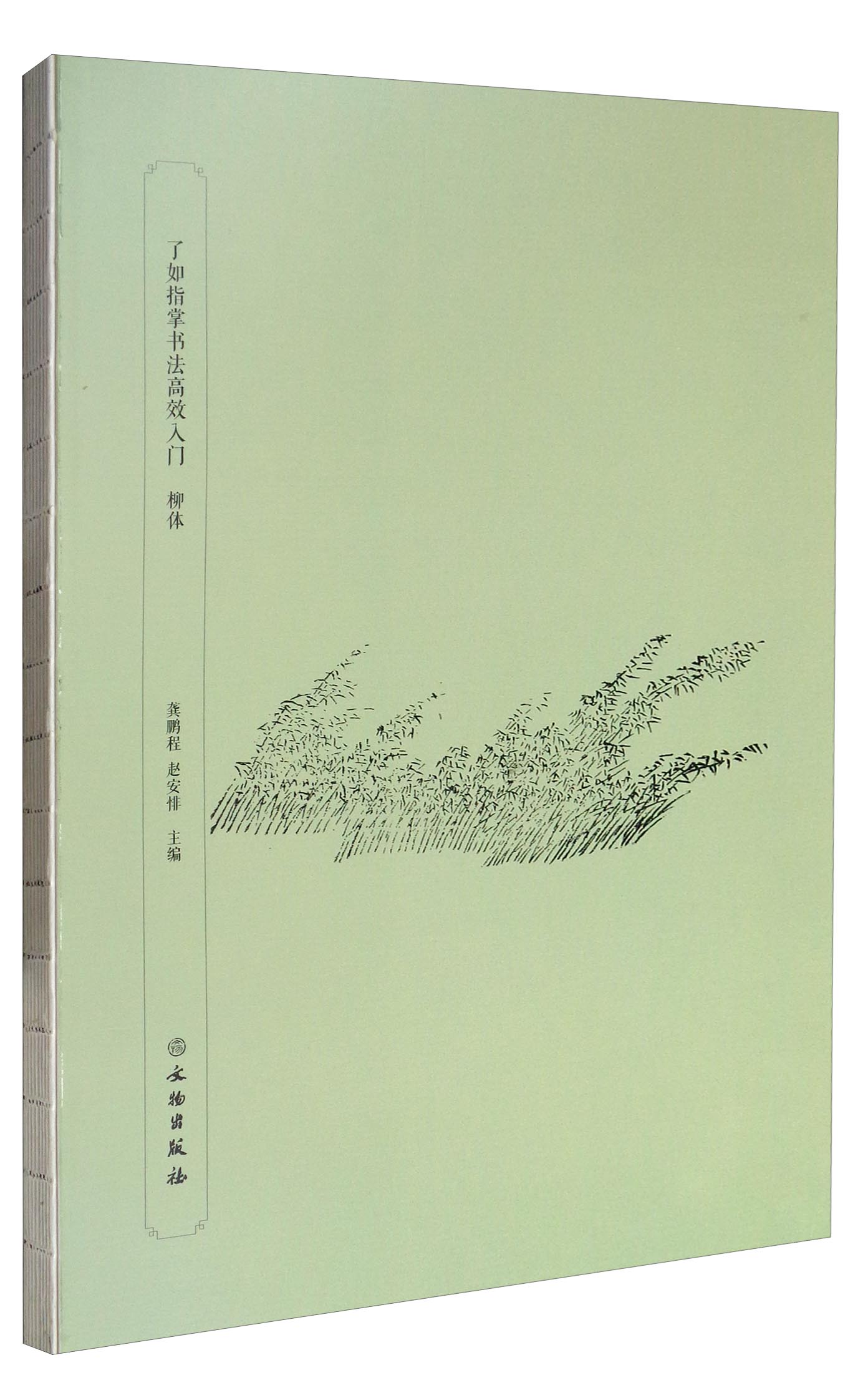 了如指掌书法高效入门：柳体