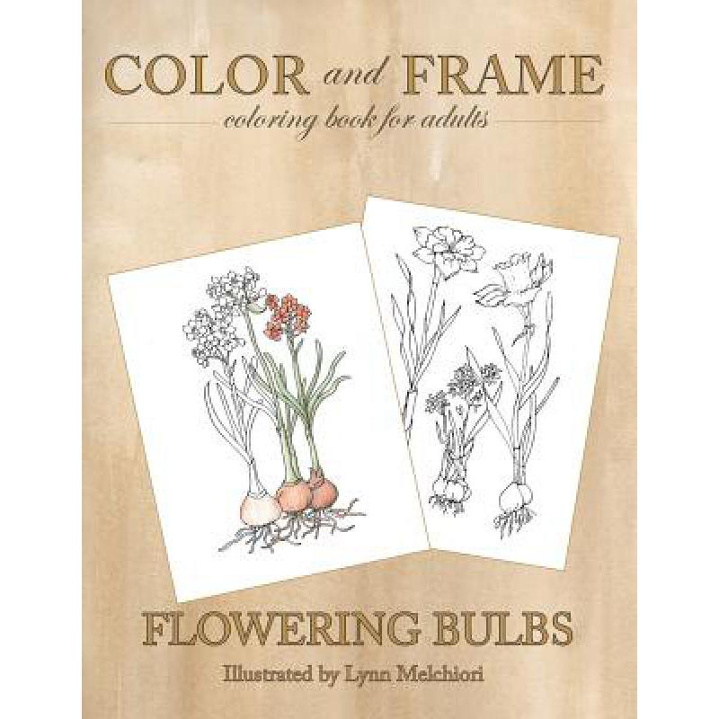 预订 Color and Frame: Flowering Bulbs