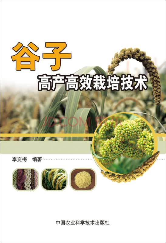 谷子高产高效栽培技术