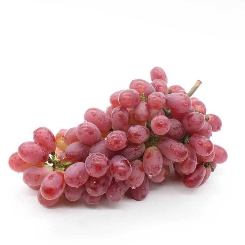帆儿庄园无籽新鲜葡萄红提葡萄提子脆甜应季时令水果生鲜 2kg