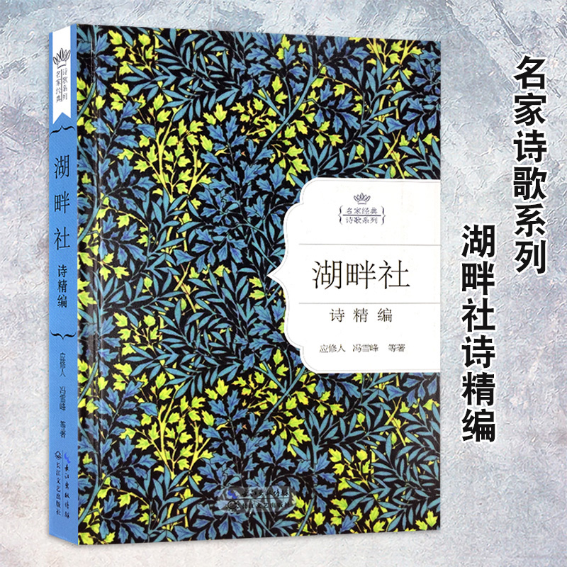 新文学运动初期抒情短诗集中国现代白话新诗集 应修人冯雪峰王静之