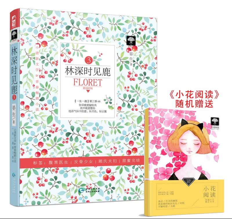 林深时见鹿3（一生一遇第三季05）