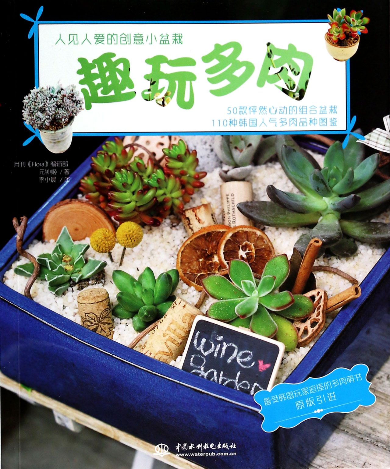 趣玩多肉(人见人爱的创意小盆栽)