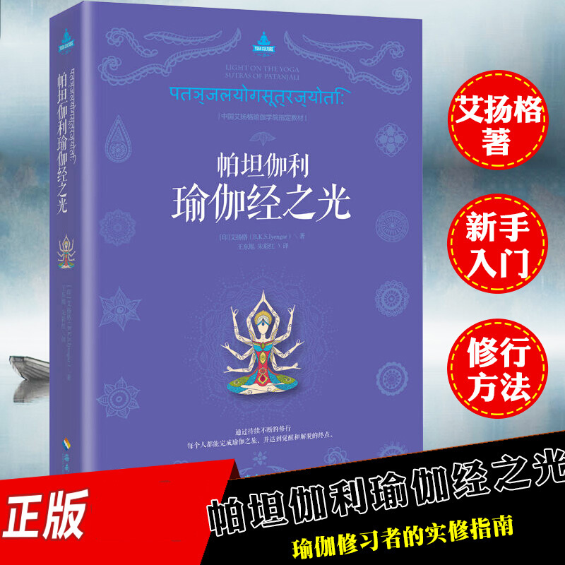 帕坦伽利瑜伽经之光 艾扬格瑜伽健身入门教程书 瑜伽冥想 伽修习者实修指南 瑜伽哲理修行方法