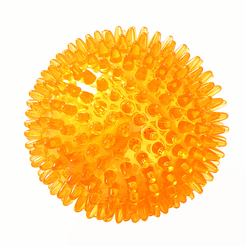 宜特(eetoys)大号刺球桔色狗狗玩具趣味发声磨牙耐咬洁齿球互动训练