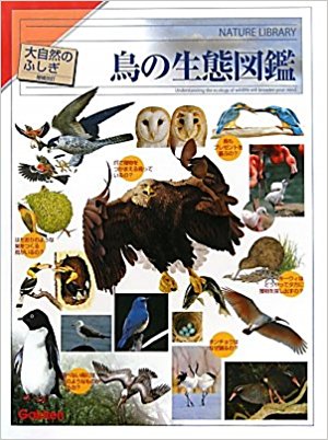 鳥の生態図鑑