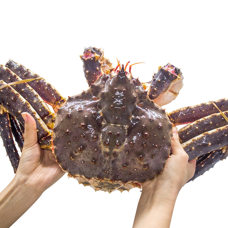 俄罗斯红色帝王蟹