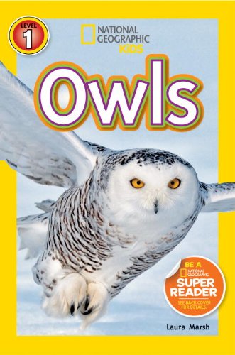 NGR OWLS 进口儿童绘本