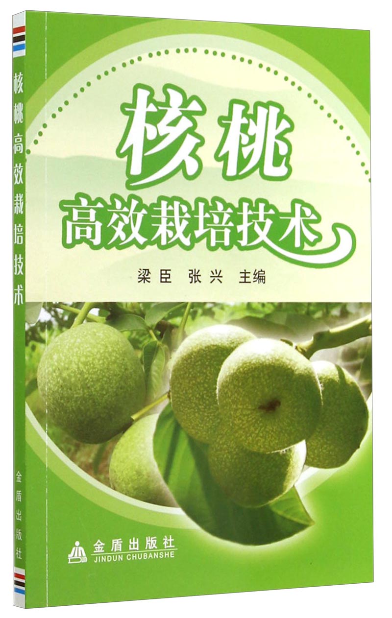 核桃高效栽培技术