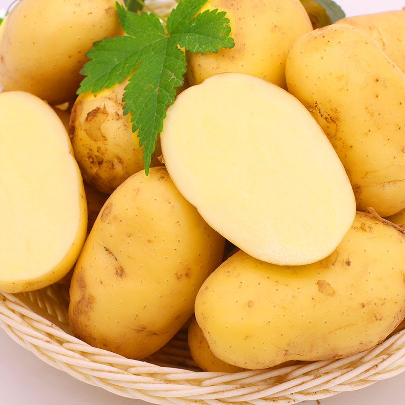 帆儿庄园新鲜小土豆农家自种蔬菜黄心土豆洋芋 4.5kg
