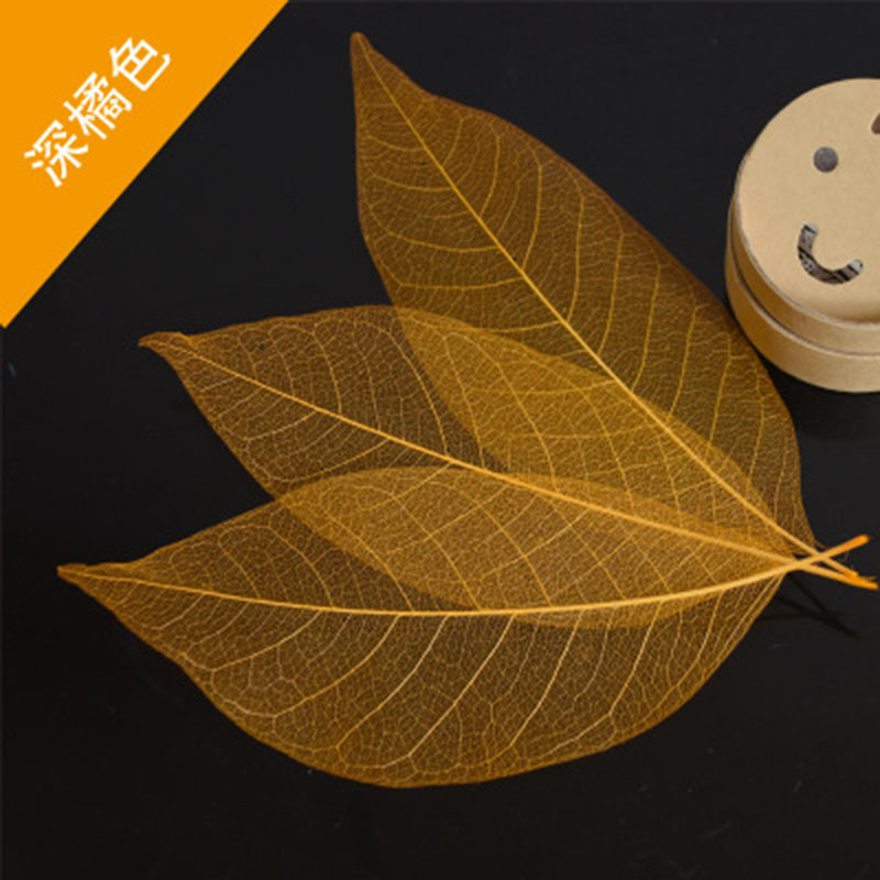 亚众 天然玉兰叶脉书签 教师节送礼物 创意植物树叶标本古典中国风