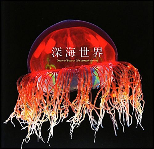深海世界 Depth Of Beauty:Life Beneath The Sea