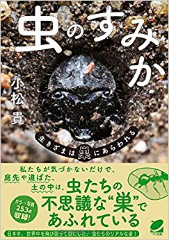 虫のすみか 生きざまは巣にあらわれる