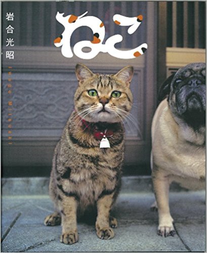 ねこ