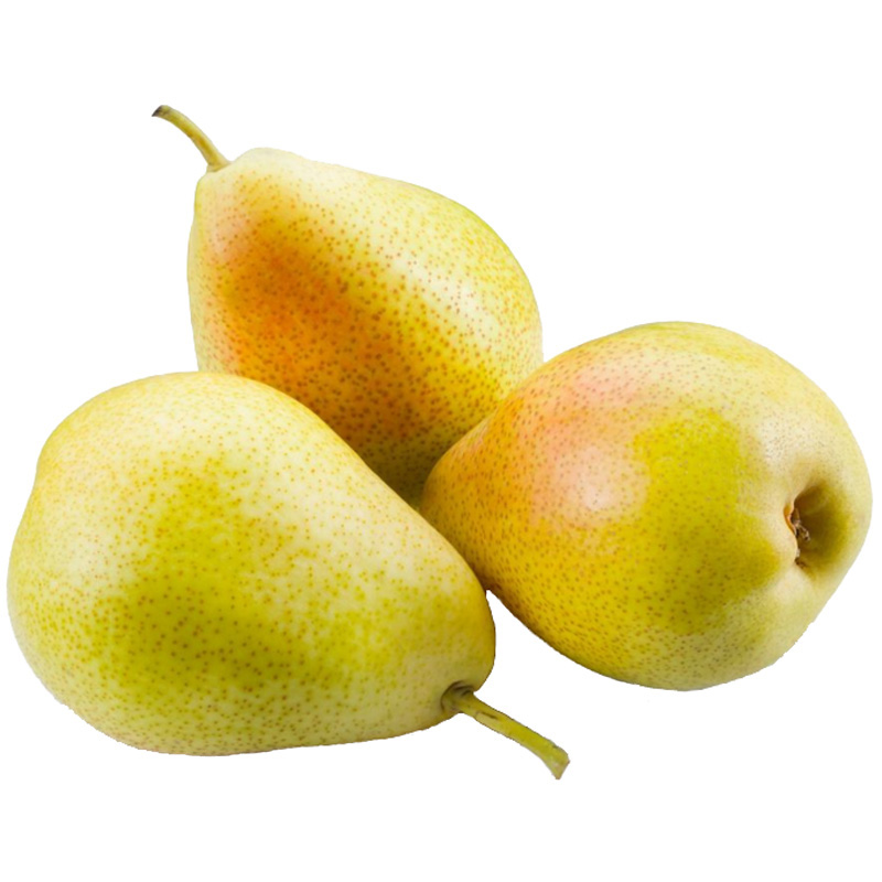 鲜东方山东特产烟台青啤梨大头梨子老太婆梨5斤