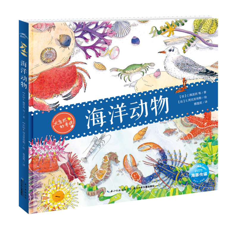 精装本 生态启蒙科普书 海洋动植物 小学生课外阅读物全彩插图漫画