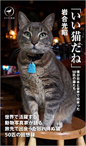 「いい猫だね」 僕が日本と世界で出会った