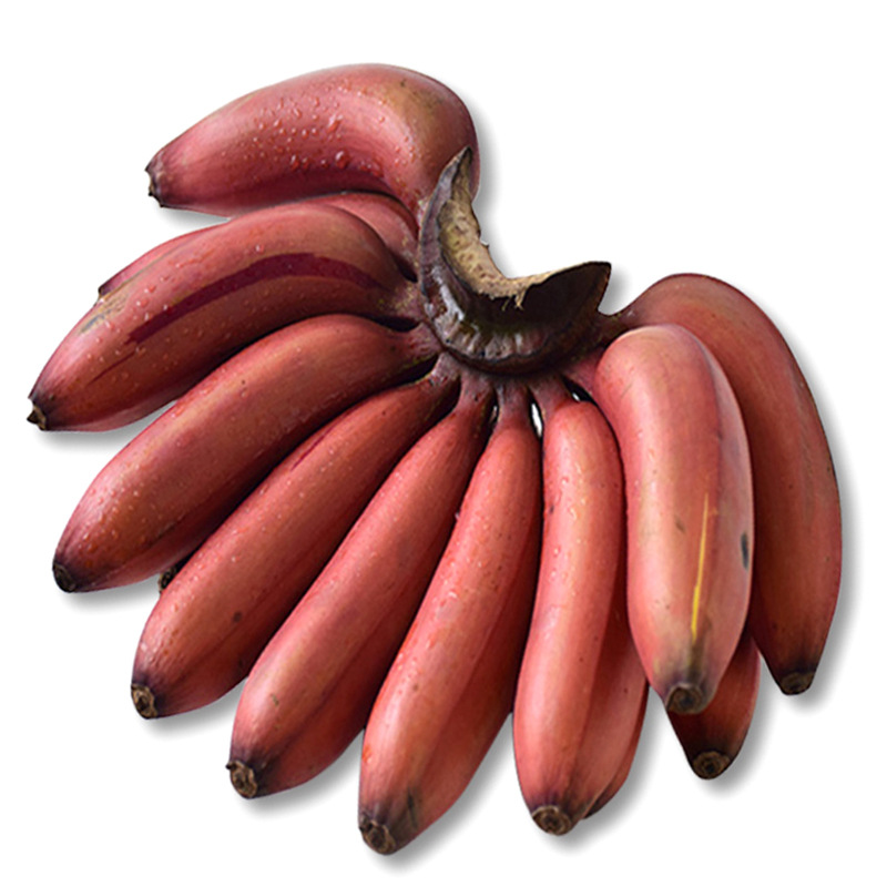 帆儿庄园 应季水果红皮美人香蕉新鲜水果生鲜 约2.5kg