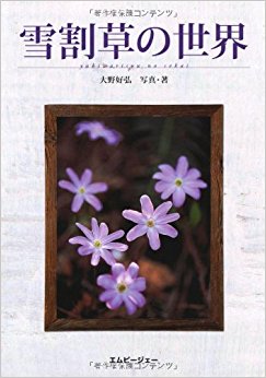 雪割草の世界