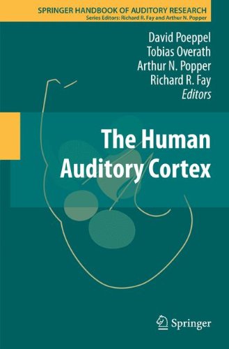 【预订】the human auditory cortex