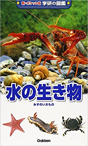 水の生き物