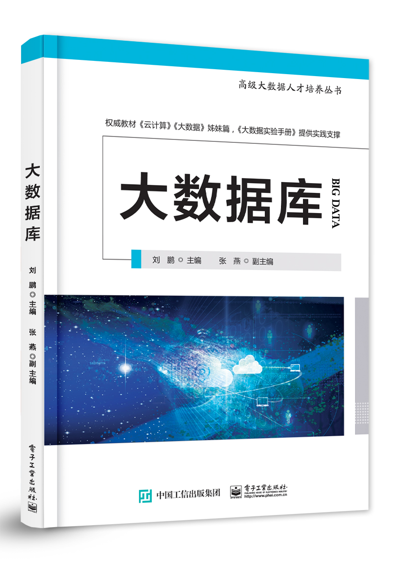 大数据库&mdash;&mdash;高级大数据人才培养丛书