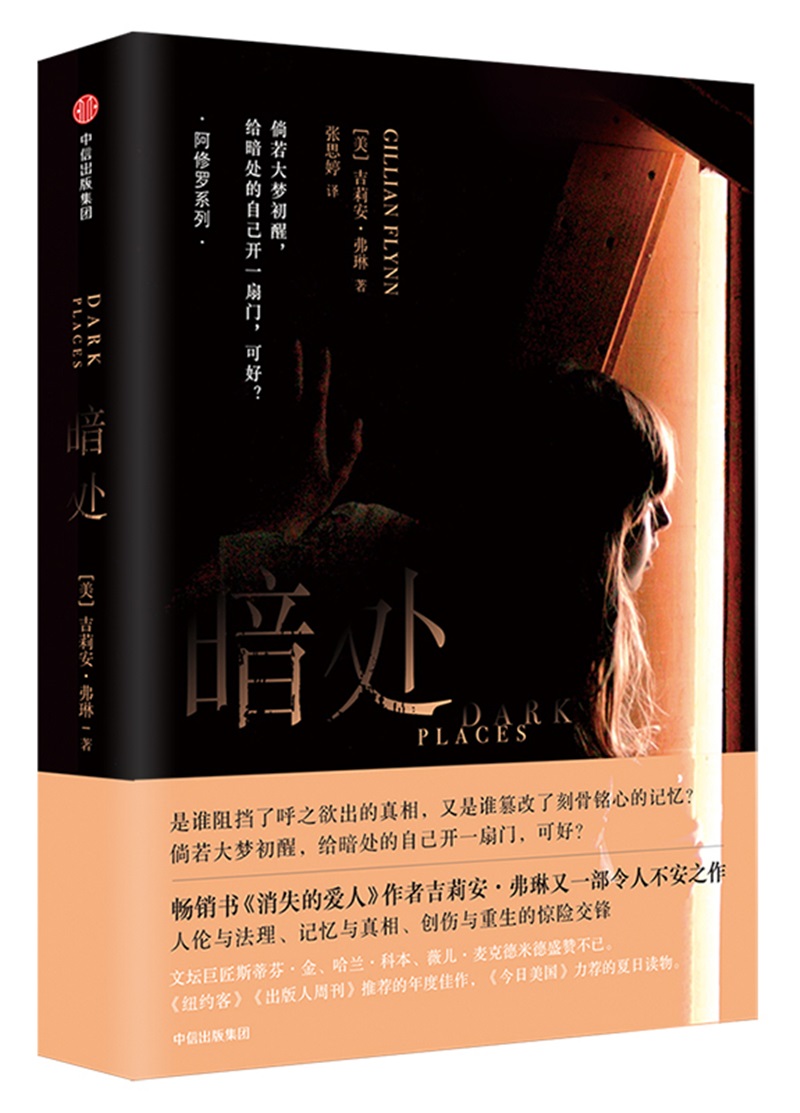 暗处 吉莉安·弗琳 著 中信出版社