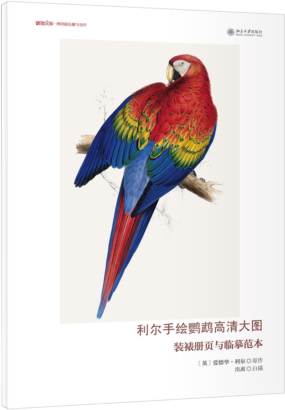 利尔手绘鹦鹉高清大图 装裱册页与临摹范本