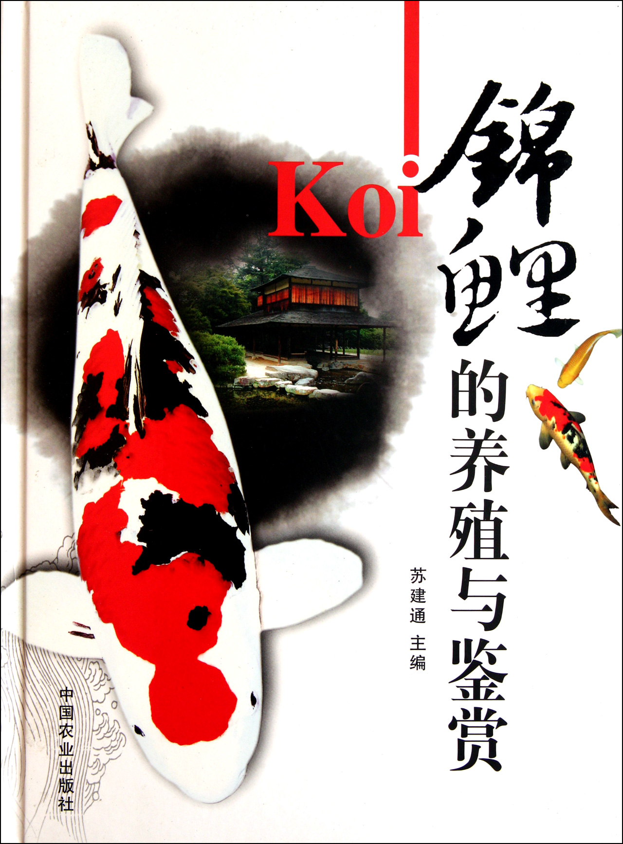 锦鲤的养殖与鉴赏(精)