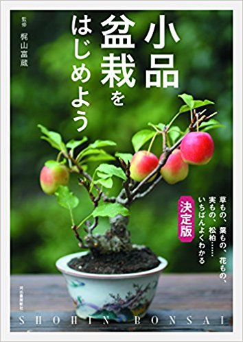 小品盆栽をはじめよう 草もの、葉もの、花