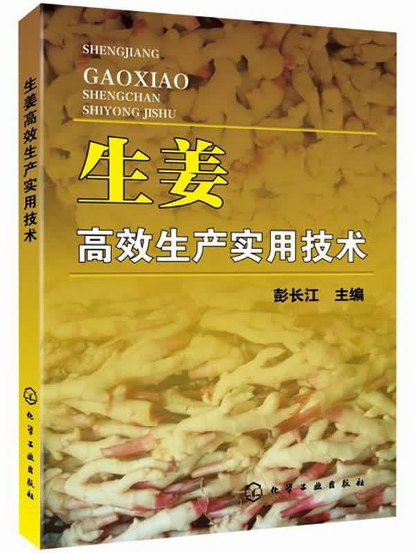 生姜高效生产实用技术